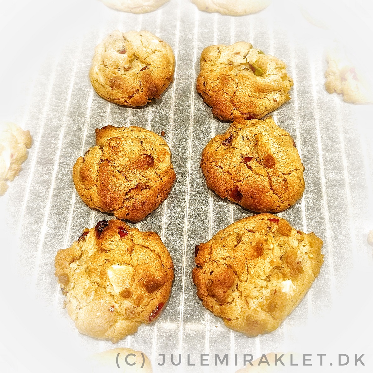 Thanksgiving Cookies